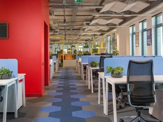 厦门小吃特产土笋冻代理商